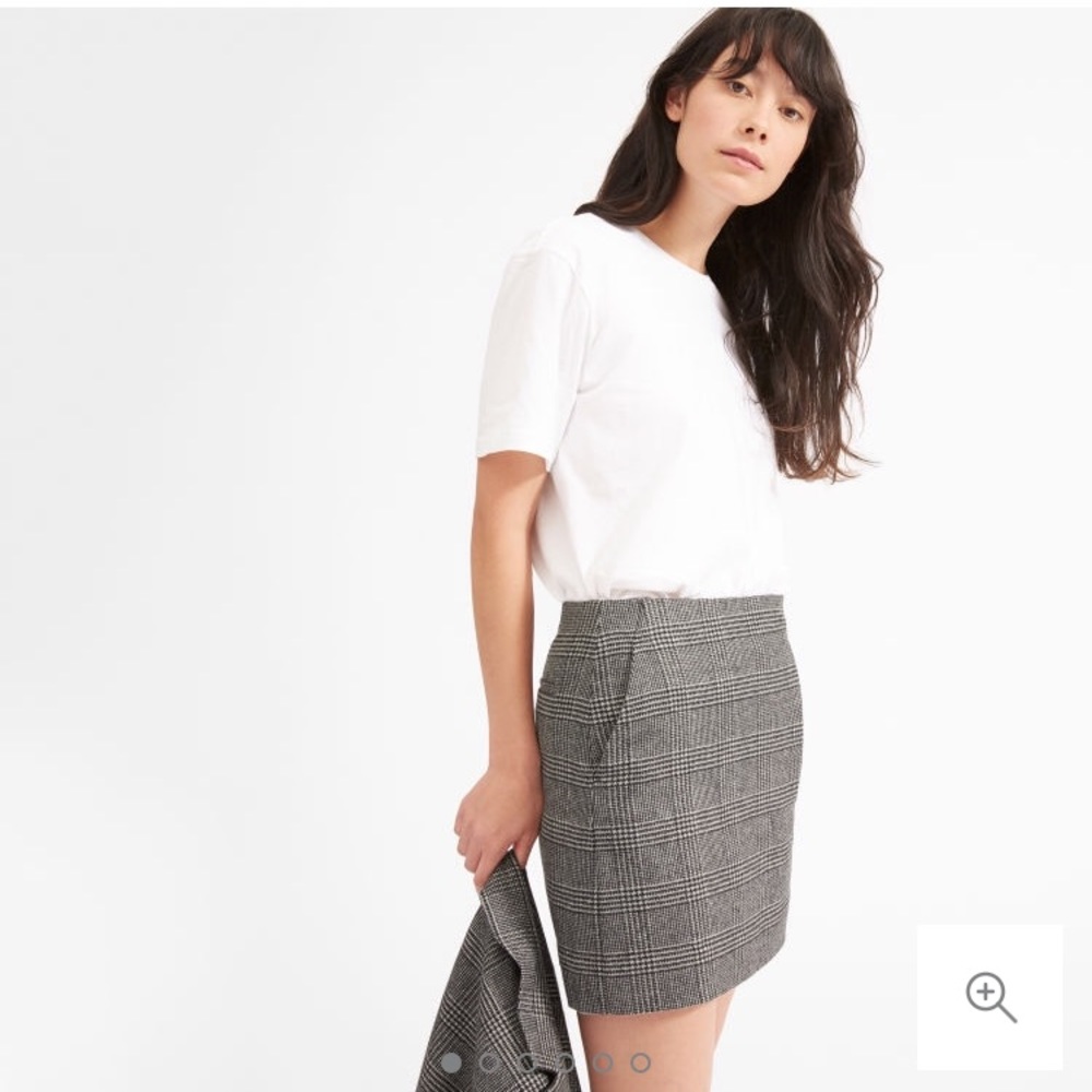 Everlane The Wool Mini Skirt